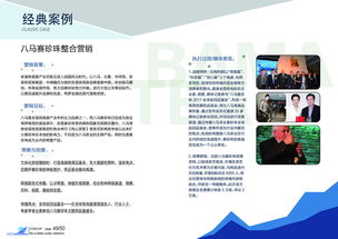 整合策略，塑造形象 廈門軟眾公關(guān)項(xiàng)目策劃與宣傳畫冊(cè)設(shè)計(jì)服務(wù)方案